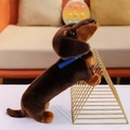 Peluche bassotto marrone cioccolato con collare blu e consistenza realistica - 37cm / Marrone Scuro (Collare Blu)