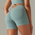 Seamless light blue high-waisted yoga shorts with scrunch butt lifting texture - Shorts - Blue Gray