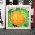 9-piece wooden puzzle for kids featuring orange fruit and colorful insect illustrations - Orange