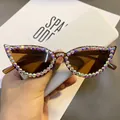 Detailed view of cat-eye sunglasses featuring rhinestone-studded frames and brown lenses - Tea Lens