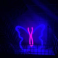 Blue and pink butterfly LED neon light sign displayed in a grid basket for room decor - 1-2W / Butterfly Blue Pink