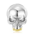 Macro detail of S925 silver lion skull pendant with 14K gold plating and matte finish - 925 Silver / Gold Tooth Skull Pendant Only (PNC0139)