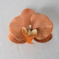 Testa di orchidea Phalaenopsis artificiale arancione con trama realistica per il fai-da-te - Pellicola 3D Caffè N. 1 (Piccolo)