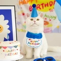Close-up of white cat wearing blue plush Happy Birthday bib and matching party hat - Dark Blue Birthday Set