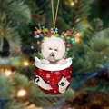 Christmas bichon frise puppy sitting in a red snowflake stocking holiday ornament - 24-Bichon Frise