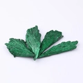 Dettaglio di campioni di cristalli di tormalina verde a forma di foglia su sfondo bianco - Tormalina di Pavone Verde Galvanizzata 50-70g