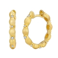 Brushed gold hoop earrings in 925 sterling silver with sparkling zircon accents - 925 Silver / Gold