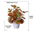 Artificial potted maple plant with red-green gradient leaves and dimension details - Medium Pot + Red Maple Leaf