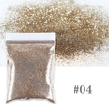 Polvere glitter champagne dorata 0,2mm per nail art in sacchetto sigillato n. 04 - Sacco da 10g / Bronzo