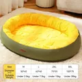 Oval plush pet bed in yellow and green with thick cushioning and size chart details - Yellow-Green (Plush)