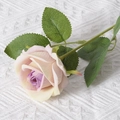 Single faux rose with creamy yellow petals, purple center and green leaves on white knit - Purple Center (Velvet Version)