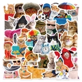 50 pieces of colorful realistic cat stickers showing various cute cartoon feline characters - Cat Theme Set