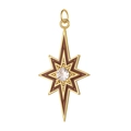 Detailed macro view of a gold-plated polar star charm with brown enamel and zircon - Brown Gold Octagram Star Pendant-12