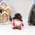 Gnome de Noël en peluche avec bonnet à carreaux et sucre d'orge sur décor en bois - Gnome de Noël avec Haut-de-forme Noir