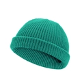 Detailed close-up showing the teal ribbed knit texture and wide cuff of the beanie hat - One Size / Verdant