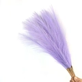 Pampas grass artificial decor 55cm tall featuring fluffy purple faux reeds for boho home - 53-55cm / Taro Purple