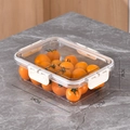 Transparent plastic airtight storage box with white clips, size 24x17x7cm for food prep - PET Low 2-Grid Box (Outer Box Only)