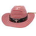 Detail of red and white striped straw cowboy hat with metallic bull head and chin cord - One Size / Red White + Wind Rope [Black Leather White Bull]