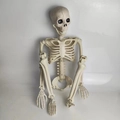 Realistisches weißes Skelettmodell aus Kunststoff für Halloween-Deko und Gruselhaus - Neues 90cm Skelett
