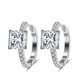 Elegant S925 sterling silver hoop earrings with princess cut cubic zirconia stones - Lze40-p