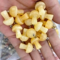 Natural yellow tiger eye crystal mushroom pendants held in hand with silver loops - Yellow Jade