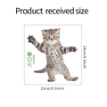 Cute standing tabby cat PVC wall sticker for bathroom decor, size 23x24cm (FX-F205) - Kitten Tabby Cat-FX-F205