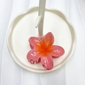 Pinza per capelli a forma di plumeria rosa e arancione traslucida su vassoio di ceramica - 8cm / Rosso Anguria Scuro
