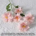 Flame Chrysanthemum Pink