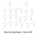 Set of 20 pieces silver fish hook earrings findings for DIY jewelry making - Silver Ear Hooks 20Pcs