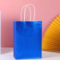 Blue glitter gift bag with white rope handles made of premium kraft paper for shopping - Small (15x8x21cm) / Blue