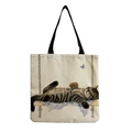 Stile Gatto Tabby su Altalena (hm2875)