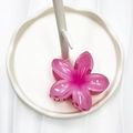 Pinza per capelli a forma di fiore di frangipane rosa sfumato su supporto per gioielli - 8cm / Rosa