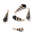 Goldrand Schwarze Spitze Schnecke 23-36mm (5 Stck)