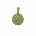 Colgante de medallón Sagitario dorado con cristales para collar de hombre - Tauro (Solo Colgante) / Dorado