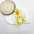 3-piece lemon yellow gradient frangipani flower hair clip set with hair claws and pins - Hollow Plumeria Yellow Set (With Card)