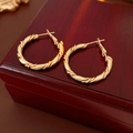 Detailopname van gouden gedraaide creolen met matte afwerking op een houten kistje - Gouden Gedraaide Ronde (Zilveren Naald)