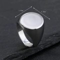 Polished silver titanium steel signet ring with a large oval flat surface for men - US 6 / Ellipse / Steel