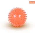 Bright orange TPR spiky dog toy ball with squeaky function for aggressive chewers - Mini 5.5cm / Orange Transparent Ball