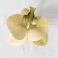 Testa di orchidea artificiale giallo crema con labbro verde per accessori per capelli DIY - Pellicola 3D Verde (Piccolo)