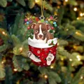 Bulldogge im Weihnachtsbeutel-Acrylanhänger mit Rentiergeweih und festlichen Lichtern - Hänge-Stil G
