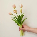 Pink and yellow gradient artificial tulip bouquet with realistic green leaves and stems - 5 Stems Bundle / Nude Pink