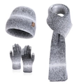 Set invernale da donna 3 pezzi con cappello, sciarpa e guanti touchscreen grigio - Set da 3 pezzi / Grigio
