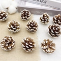 Pommes de pin naturelles avec effet neige sur fond de lin rustique et laine douce - Pommes de pin chinoises pointes blanches 3-4cm