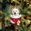 Weihnachtsanhänger Labrador Welpe mit Geweih in roter Socke für die Feiertagsdeko - Labrador Typ 2