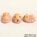 Detailed views of mini resin Capybara charms with dimensions 33x16x25mm and 8.5g weight - Lying Capybara