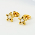 Star-shaped golden stud earrings featuring a centered clear zircon stone on a white background - Star (E0023) / Gold
