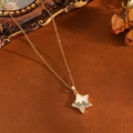 Detail of gold star pendant necklace with white enamel and blue diamonds on vintage background - Gold Blue Diamond White Shell Star Necklace