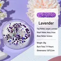 Scented lavender soy wax shell candle with purple sequins and crystal stone in jar - Dried Flower Glitter / Purple / Lavender