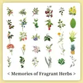 30 botanical flower and fruit stickers set for journaling, 60 pieces in retro hand-drawn style - Memories of Fragrant Grass