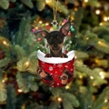 Chihuahua-Weihnachtssocken-Anhänger aus Acryl mit Rentiergeweih für den Tannenbaum - Chihuahua Typ 3